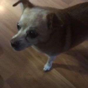 Meet your Posher, Mary ann